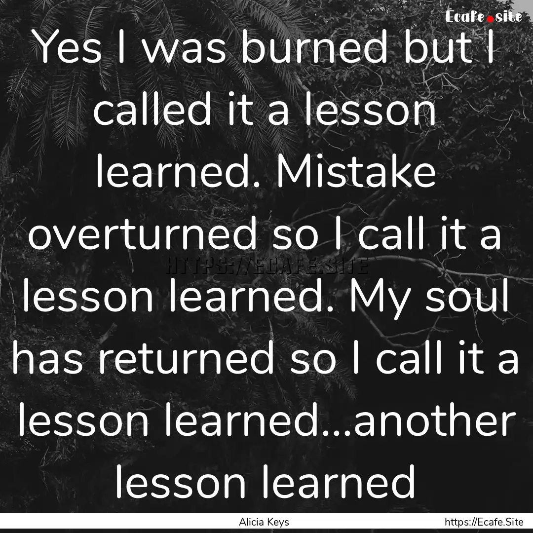 Yes I was burned but I called it a lesson.... : Quote by Alicia Keys