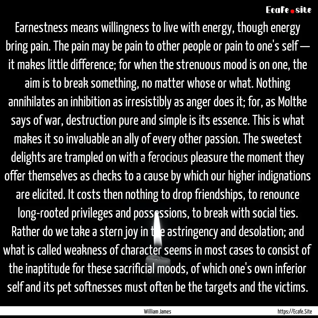 Earnestness means willingness to live with.... : Quote by William James