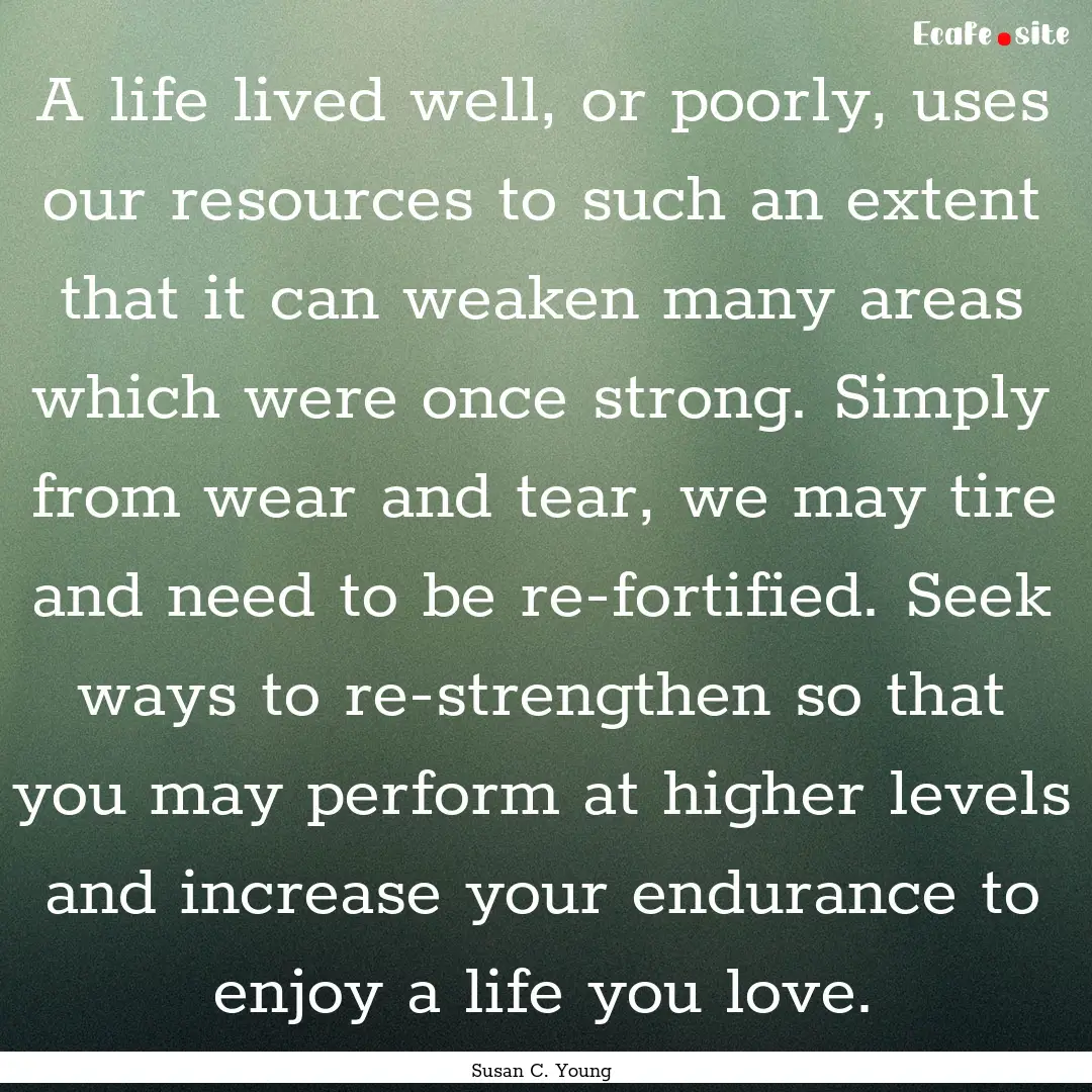 A life lived well, or poorly, uses our resources.... : Quote by Susan C. Young