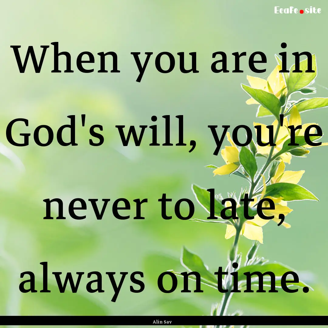 When you are in God's will, you're never.... : Quote by Alin Sav