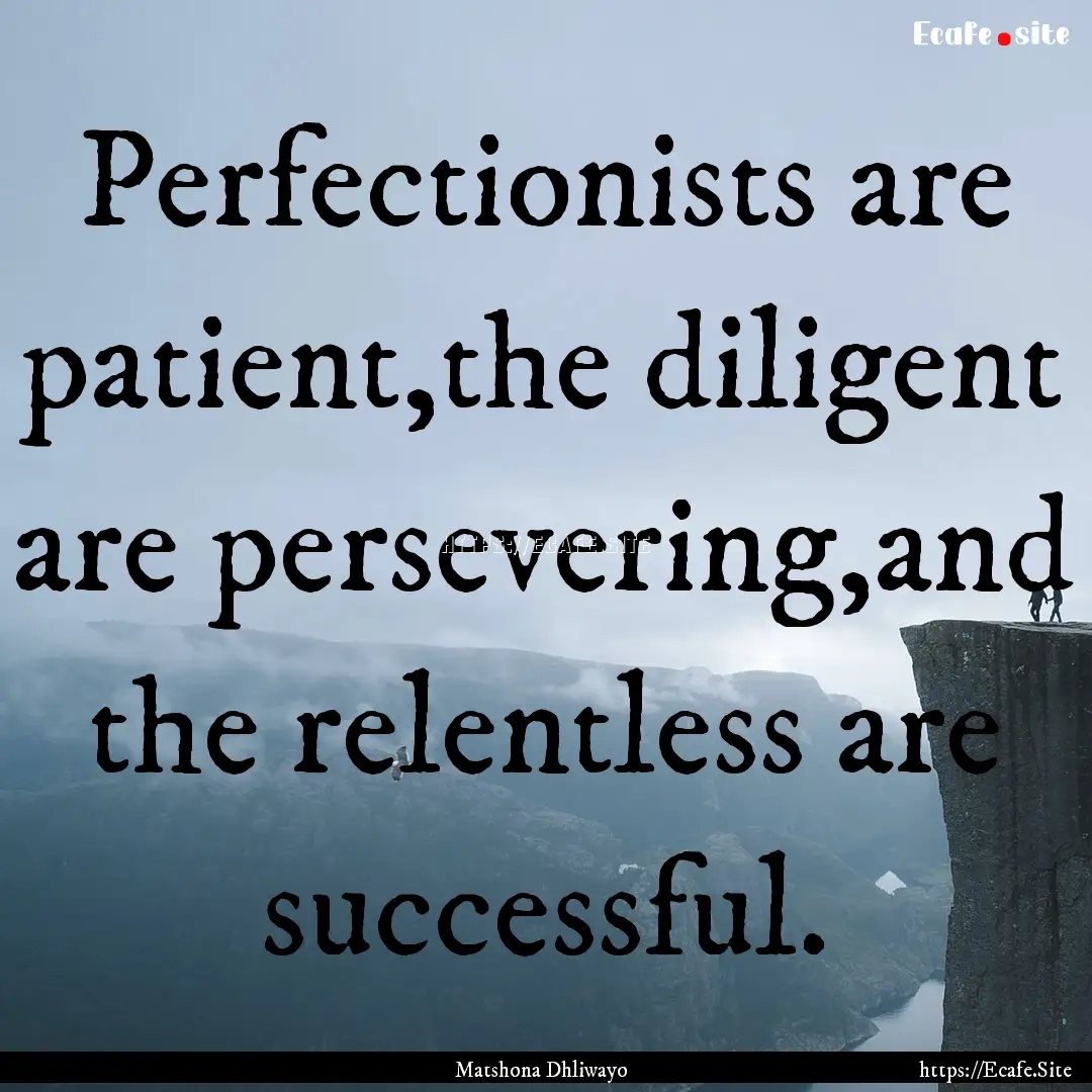 Perfectionists are patient,the diligent are.... : Quote by Matshona Dhliwayo