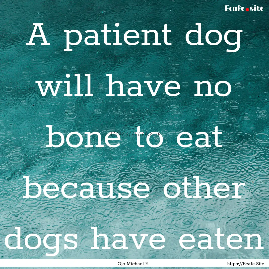 A patient dog will have no bone to eat because.... : Quote by Ojo Michael E.