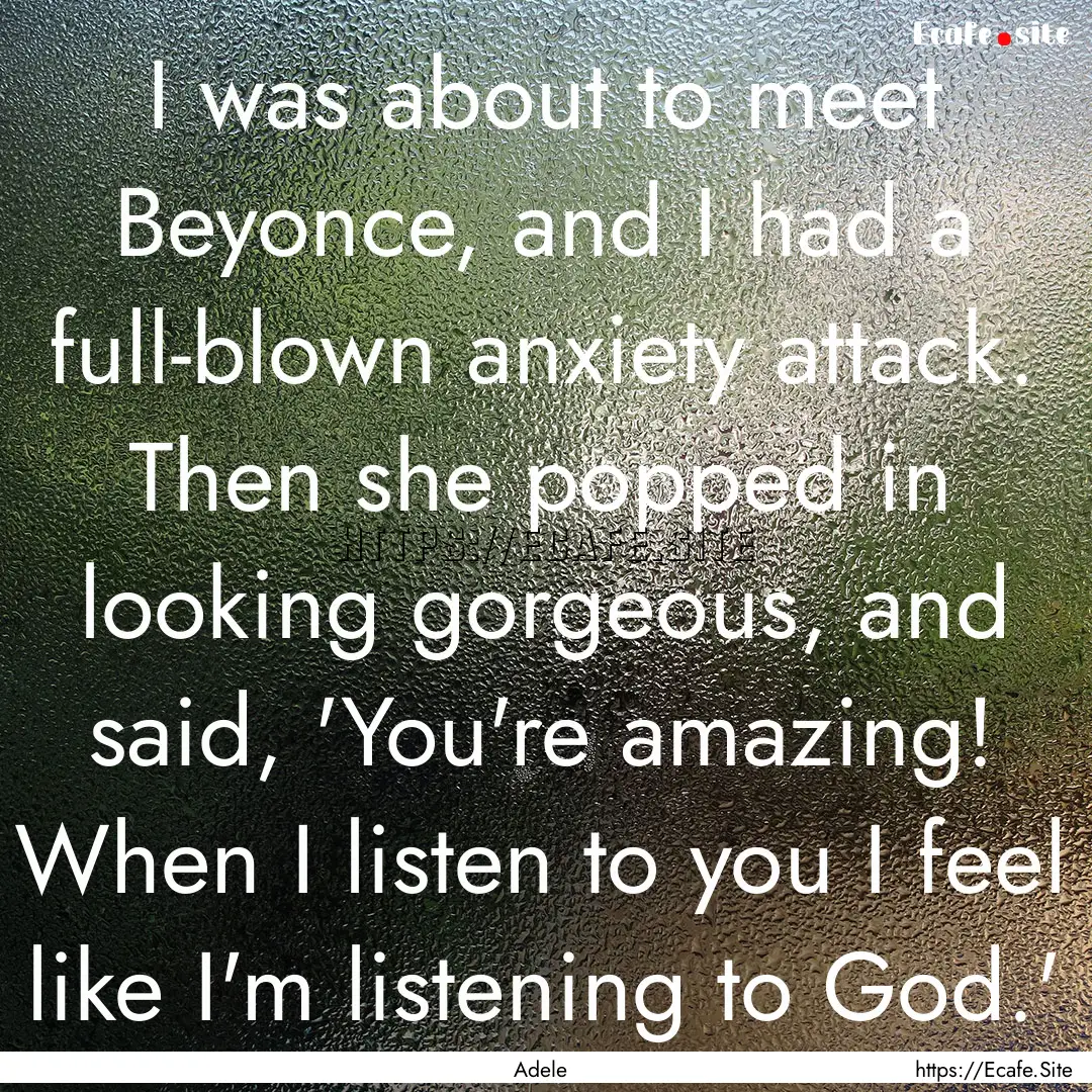 I was about to meet Beyonce, and I had a.... : Quote by Adele