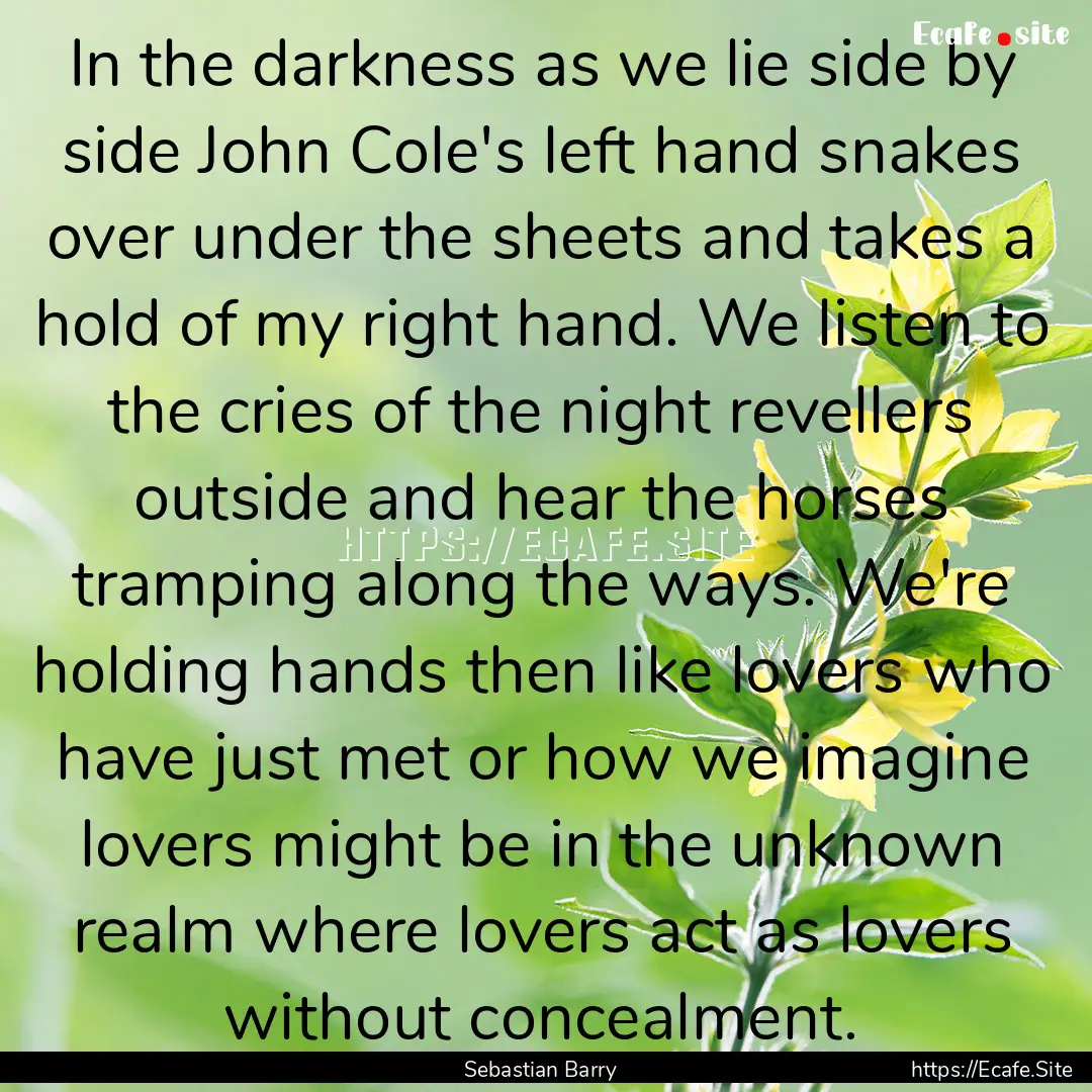 In the darkness as we lie side by side John.... : Quote by Sebastian Barry