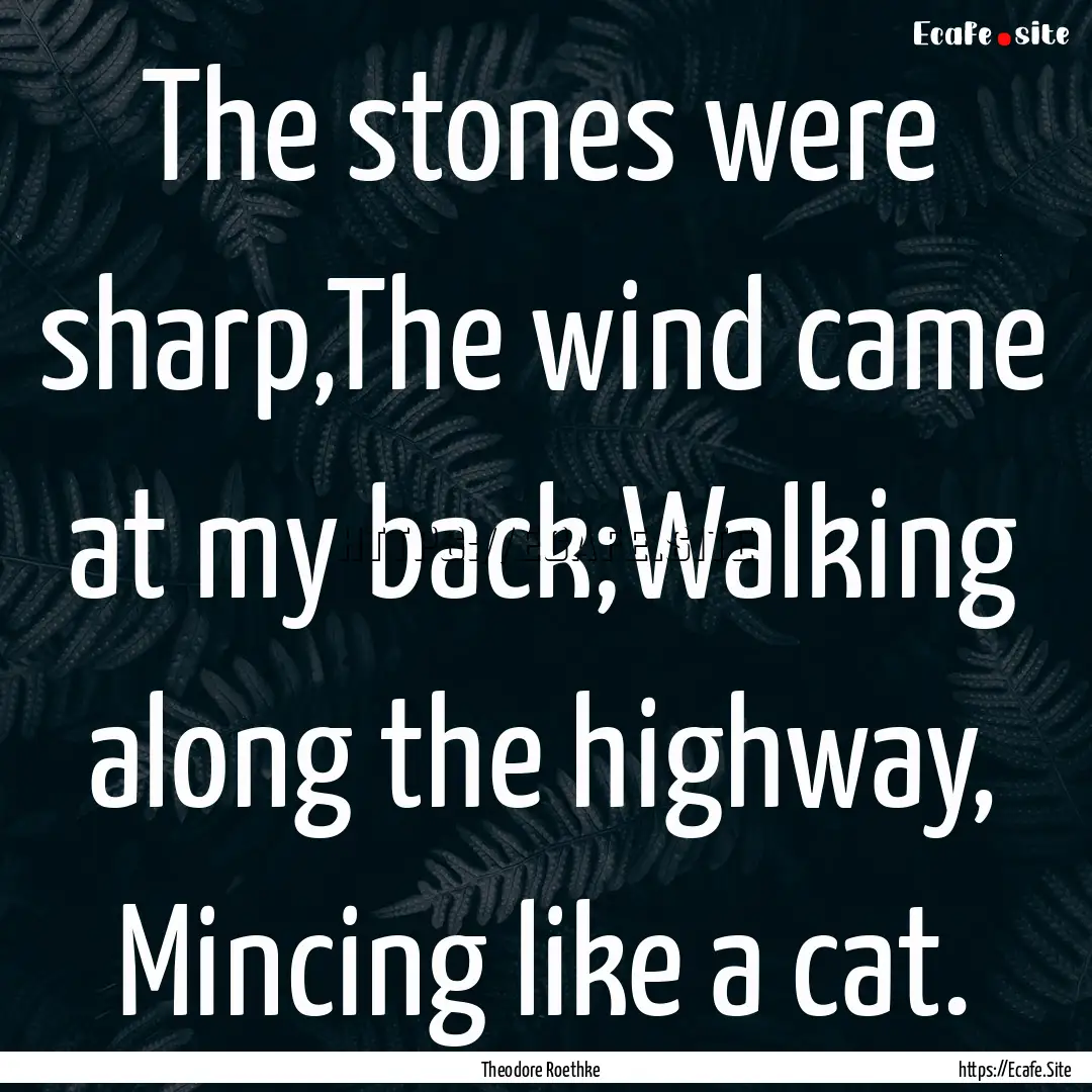 The stones were sharp,The wind came at my.... : Quote by Theodore Roethke