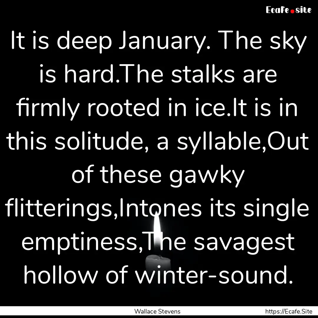 It is deep January. The sky is hard.The stalks.... : Quote by Wallace Stevens