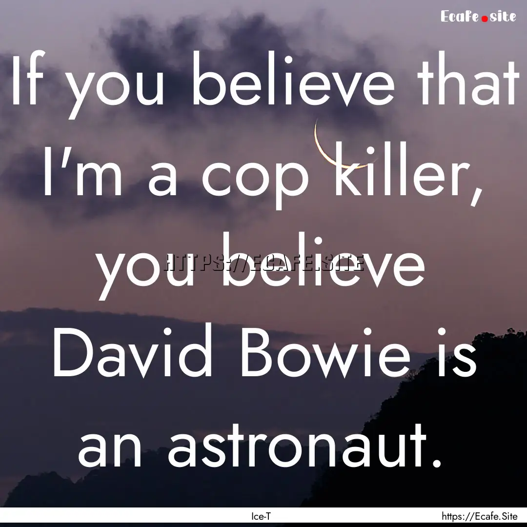 If you believe that I'm a cop killer, you.... : Quote by Ice-T