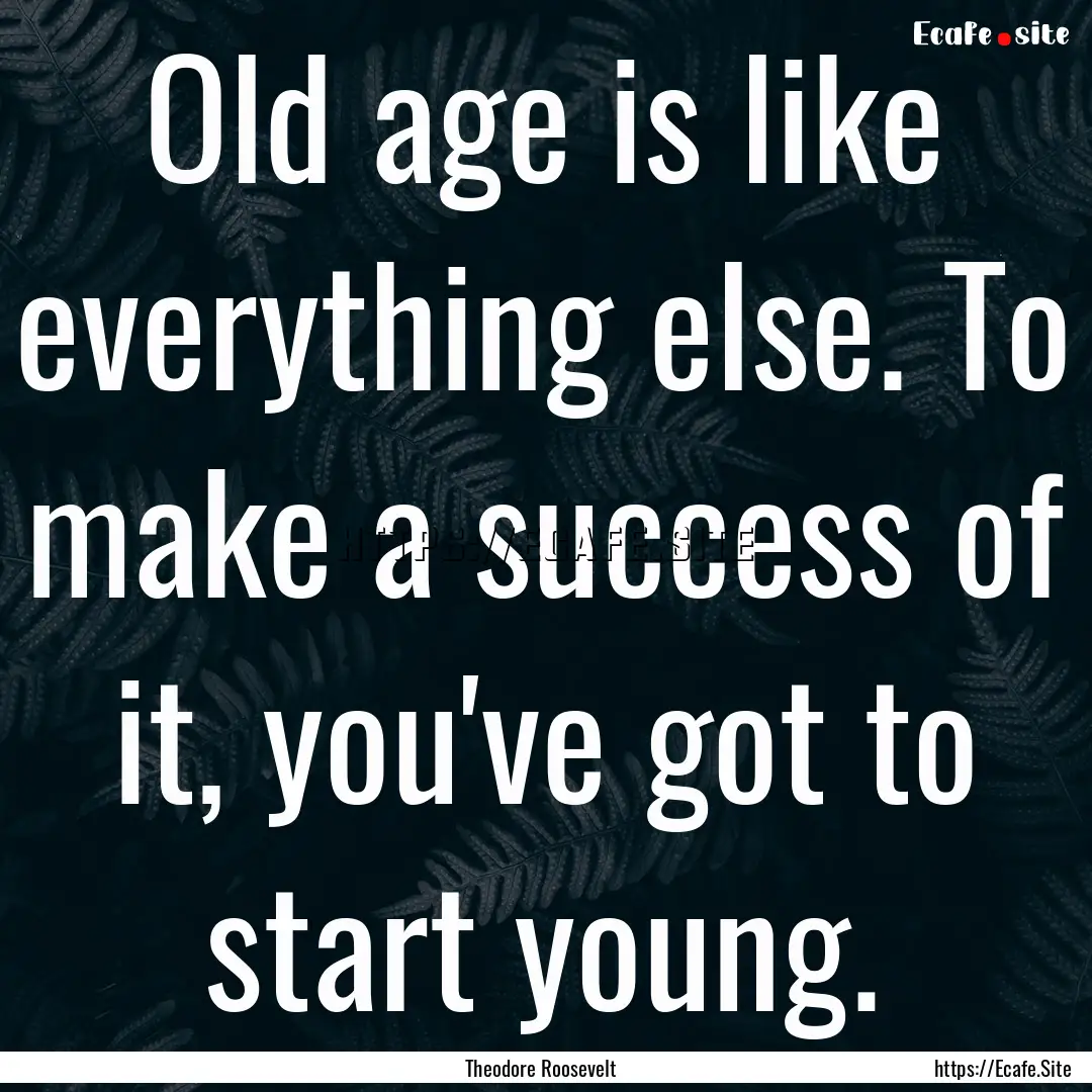 Old age is like everything else. To make.... : Quote by Theodore Roosevelt