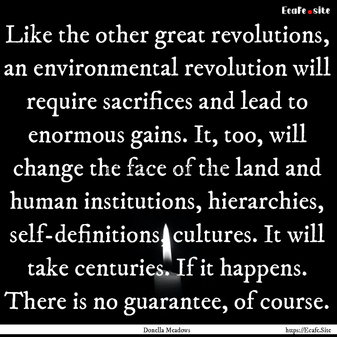 Like the other great revolutions, an environmental.... : Quote by Donella Meadows