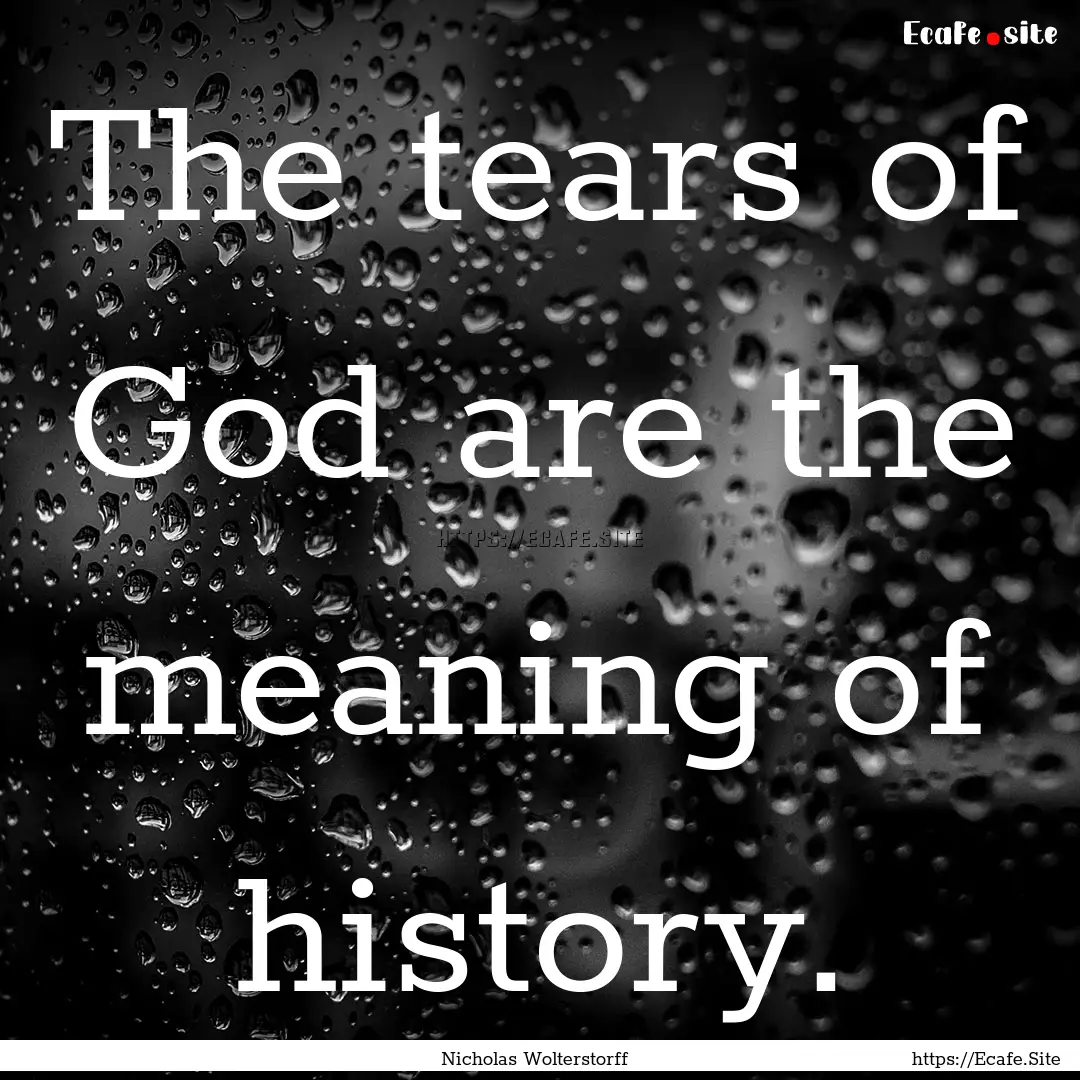 The tears of God are the meaning of history..... : Quote by Nicholas Wolterstorff