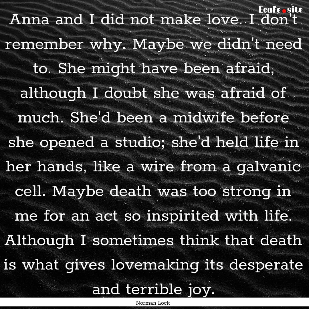 Anna and I did not make love. I don't remember.... : Quote by Norman Lock