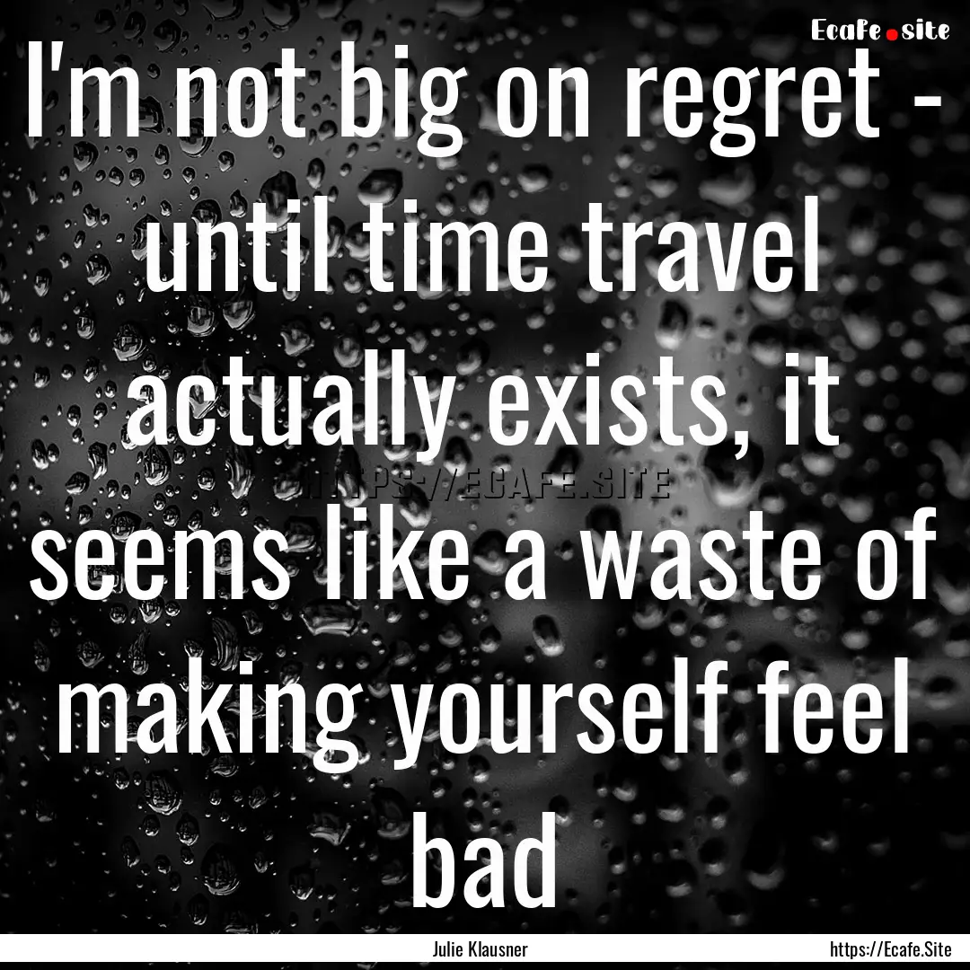 I'm not big on regret - until time travel.... : Quote by Julie Klausner