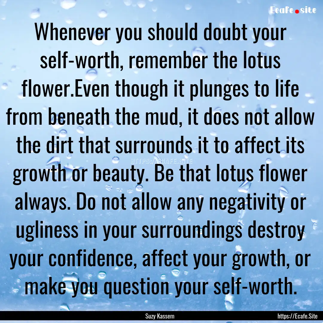 Whenever you should doubt your self-worth,.... : Quote by Suzy Kassem