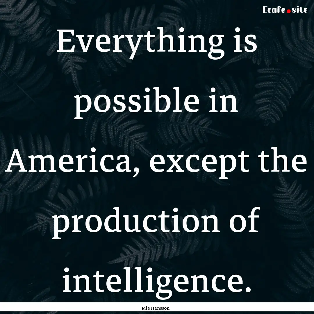 Everything is possible in America, except.... : Quote by Mie Hansson