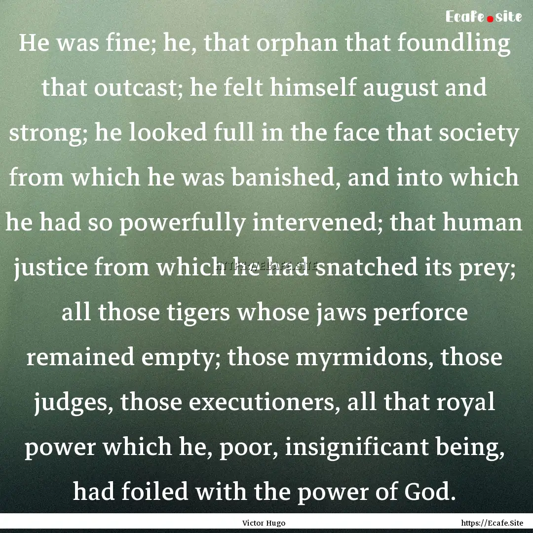 He was fine; he, that orphan that foundling.... : Quote by Victor Hugo