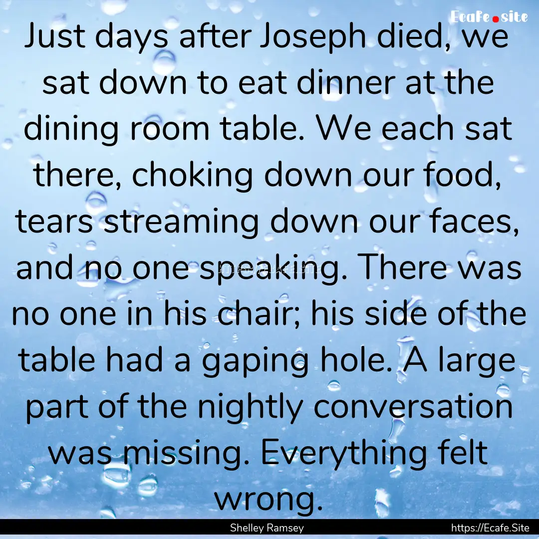 Just days after Joseph died, we sat down.... : Quote by Shelley Ramsey