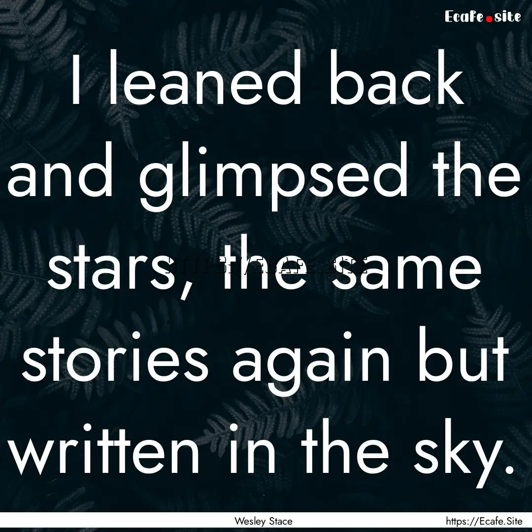 I leaned back and glimpsed the stars, the.... : Quote by Wesley Stace