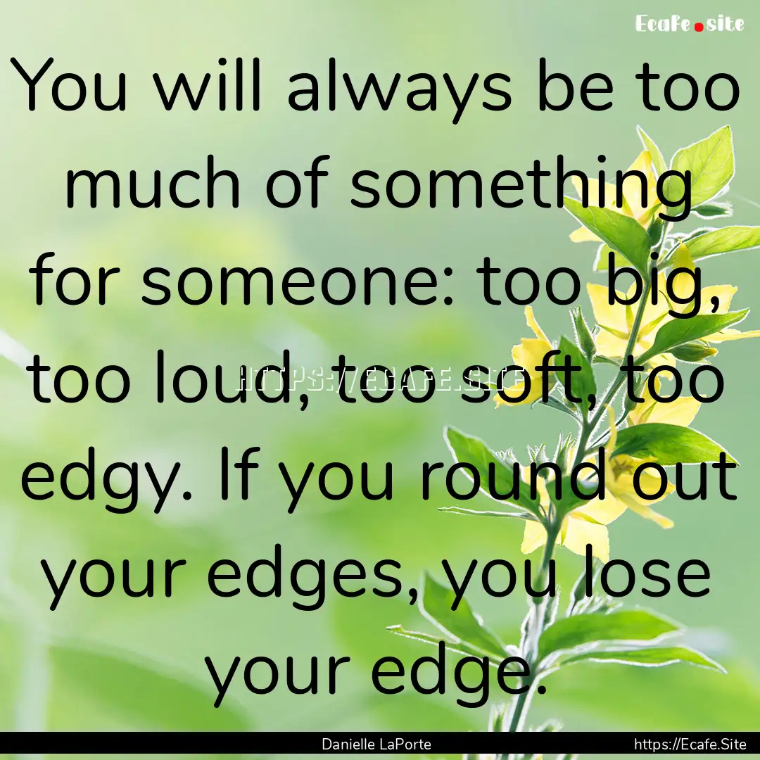 You will always be too much of something.... : Quote by Danielle LaPorte