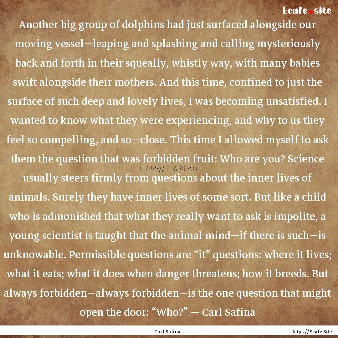 Another big group of dolphins had just surfaced.... : Quote by Carl Safina