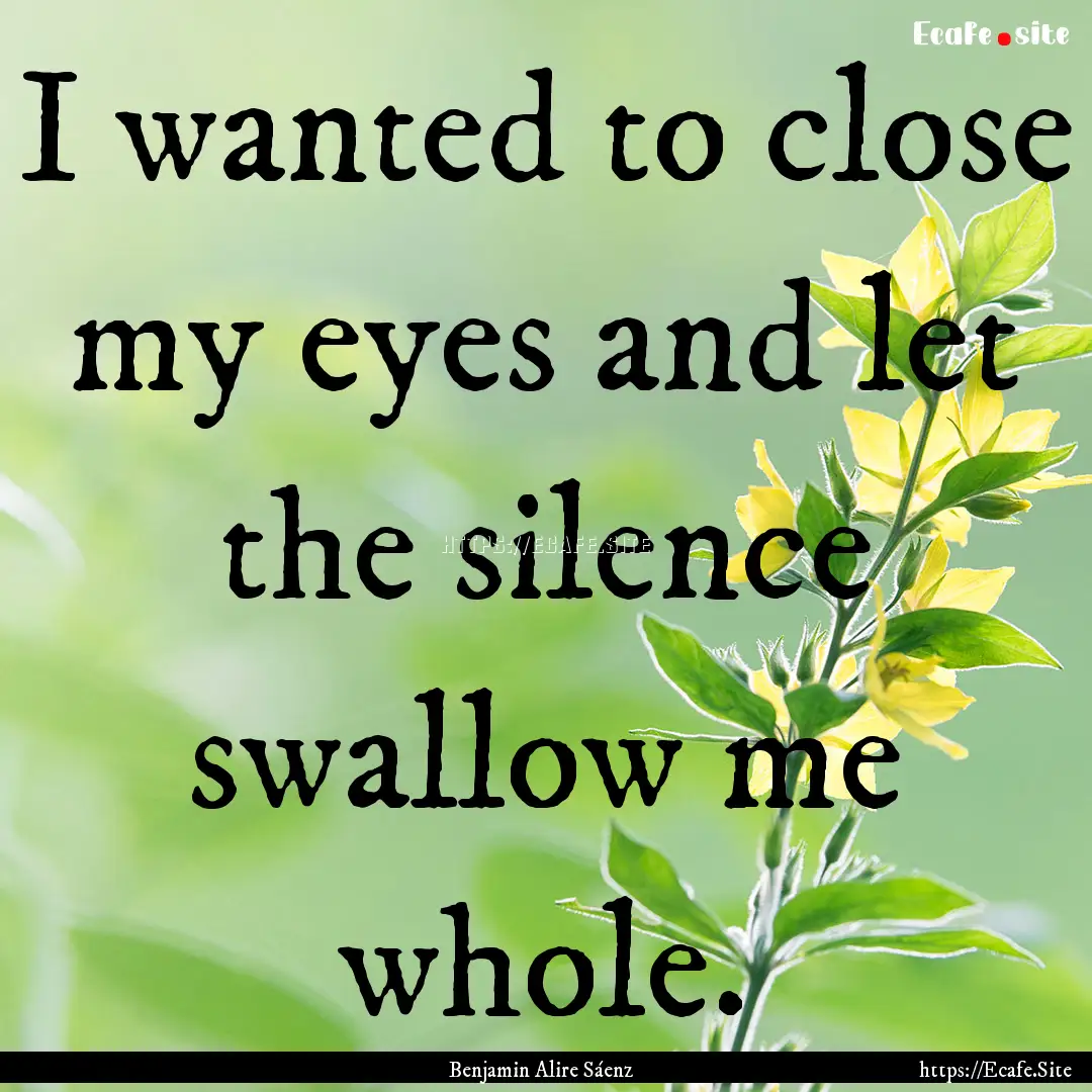 I wanted to close my eyes and let the silence.... : Quote by Benjamin Alire Sáenz