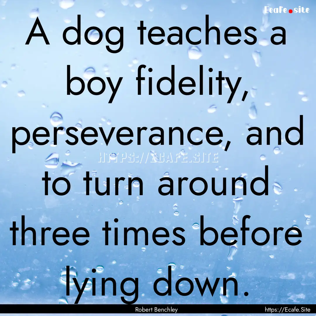 A dog teaches a boy fidelity, perseverance,.... : Quote by Robert Benchley