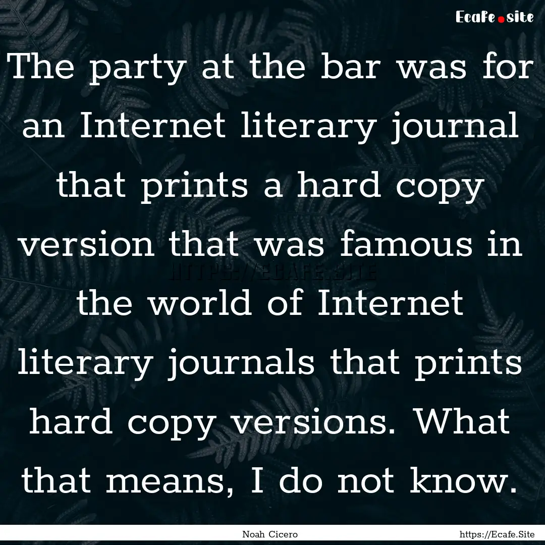 The party at the bar was for an Internet.... : Quote by Noah Cicero