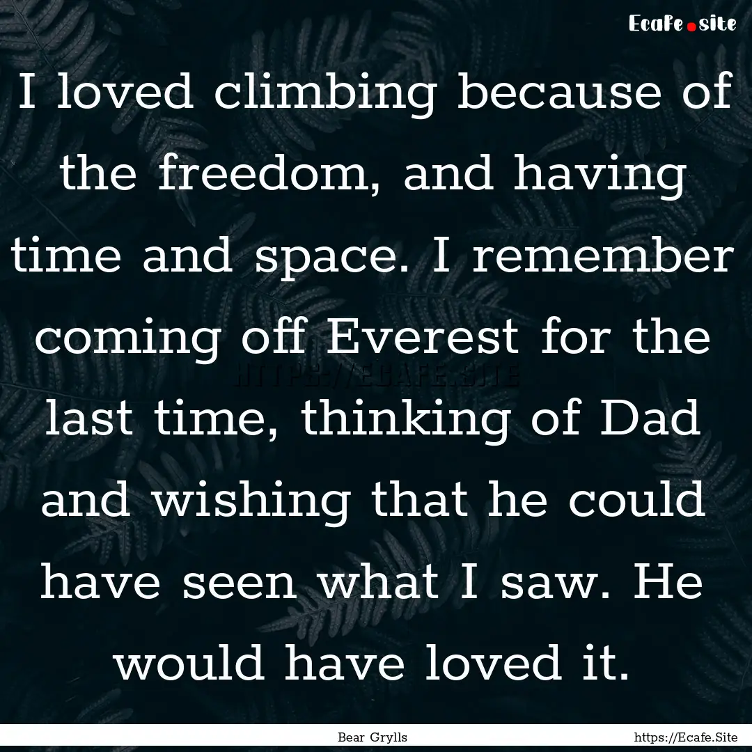 I loved climbing because of the freedom,.... : Quote by Bear Grylls