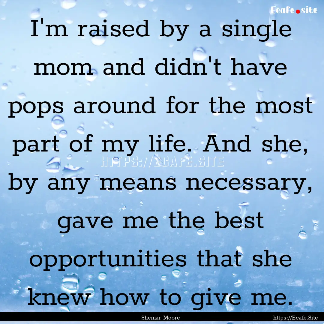 I'm raised by a single mom and didn't have.... : Quote by Shemar Moore