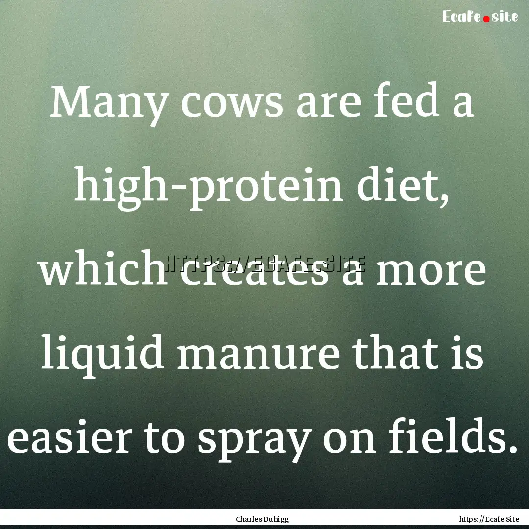 Many cows are fed a high-protein diet, which.... : Quote by Charles Duhigg