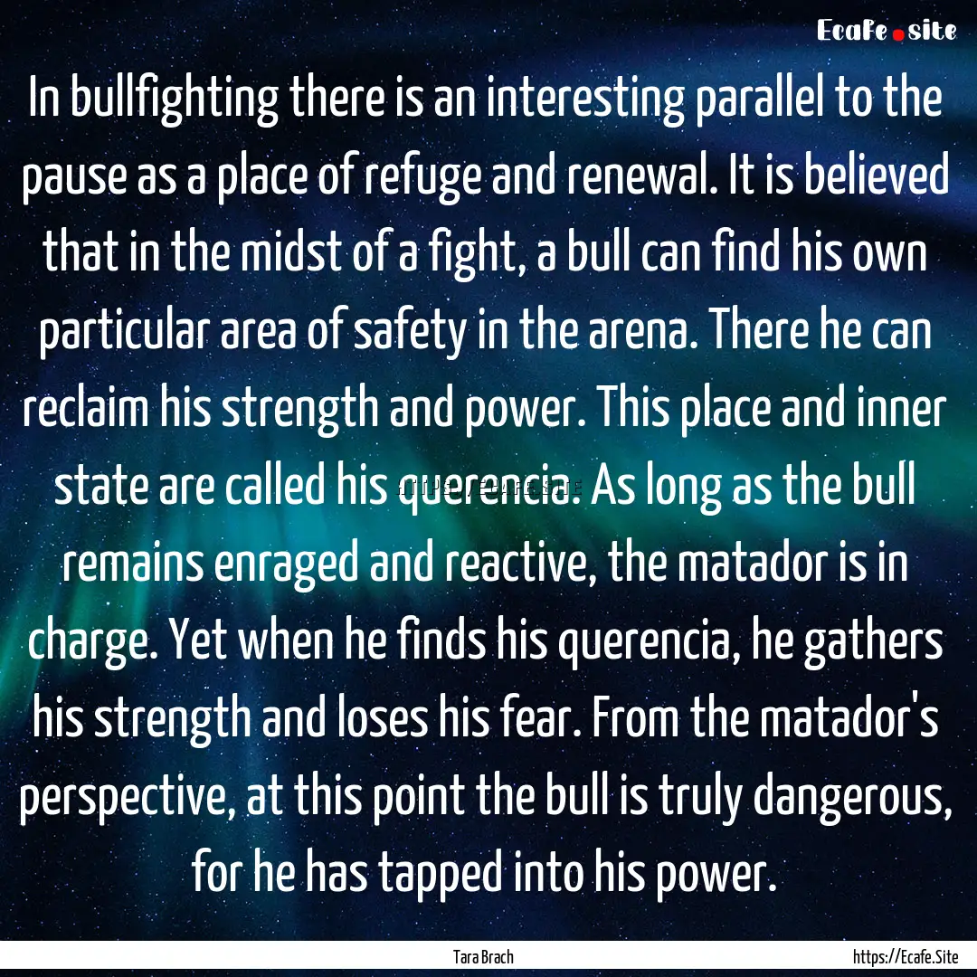 In bullfighting there is an interesting parallel.... : Quote by Tara Brach