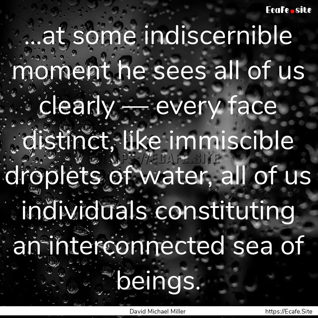 ...at some indiscernible moment he sees all.... : Quote by David Michael Miller