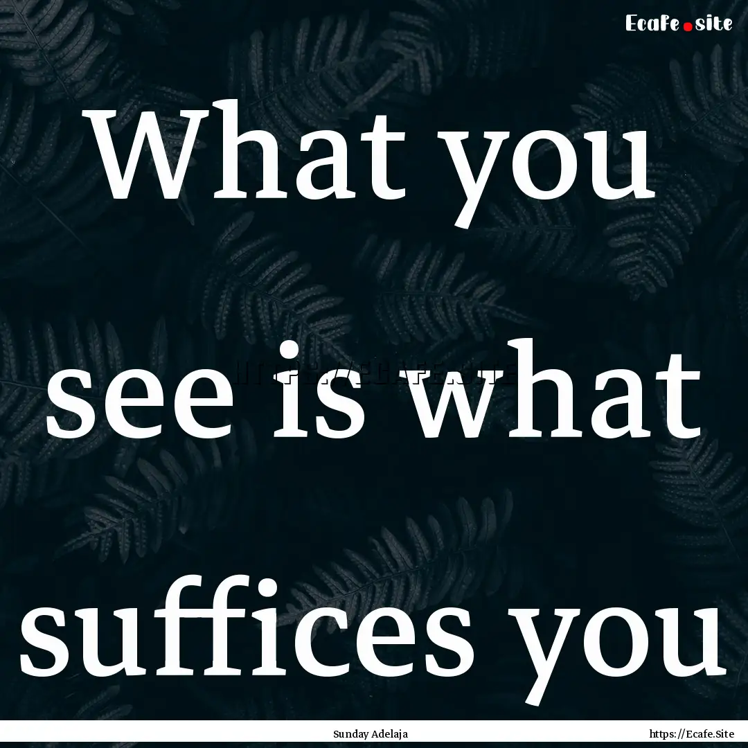 What you see is what suffices you : Quote by Sunday Adelaja