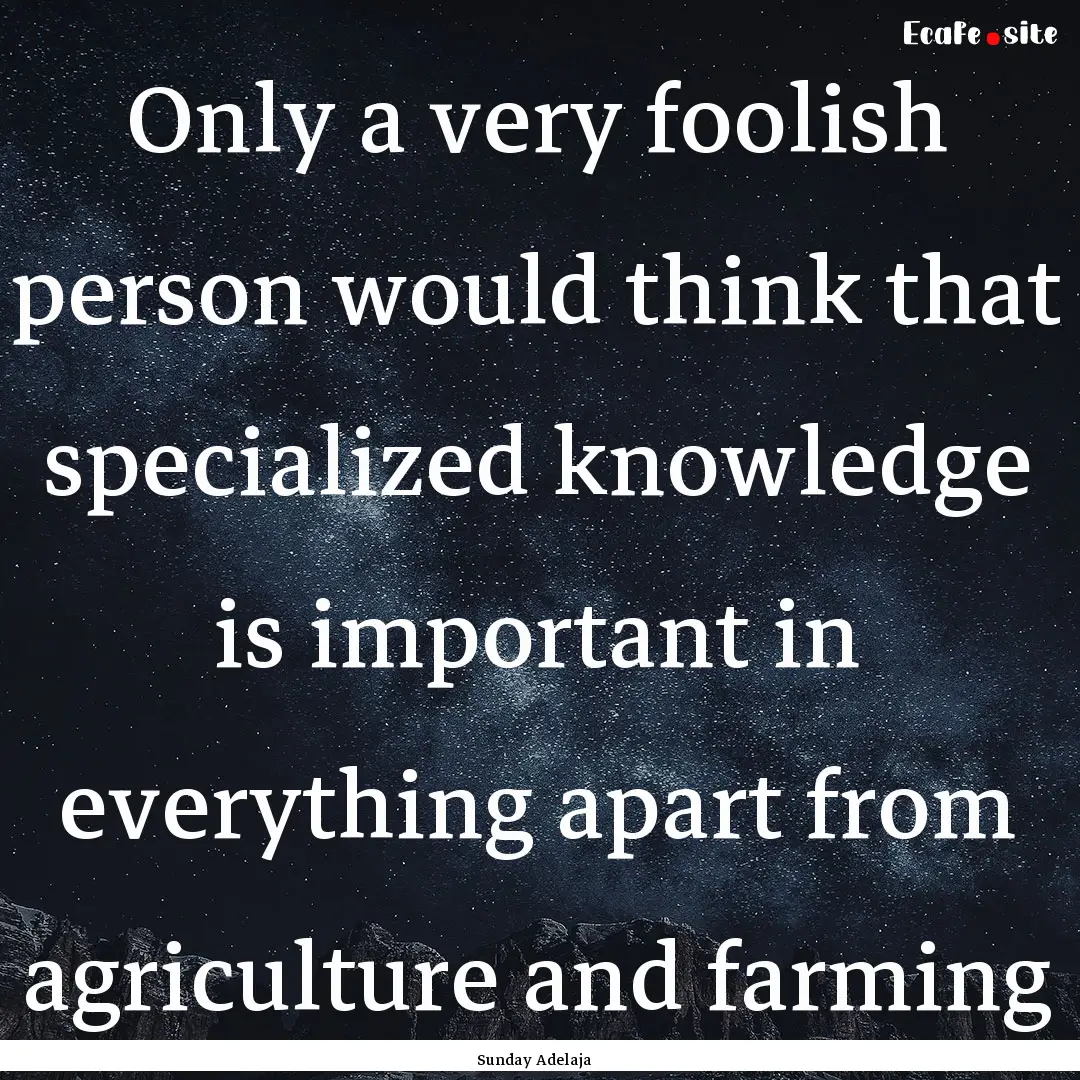 Only a very foolish person would think that.... : Quote by Sunday Adelaja