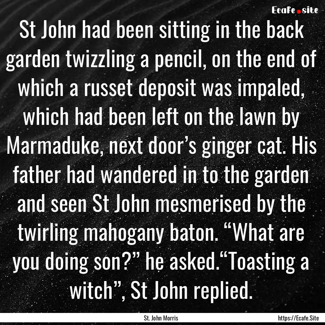 St John had been sitting in the back garden.... : Quote by St. John Morris