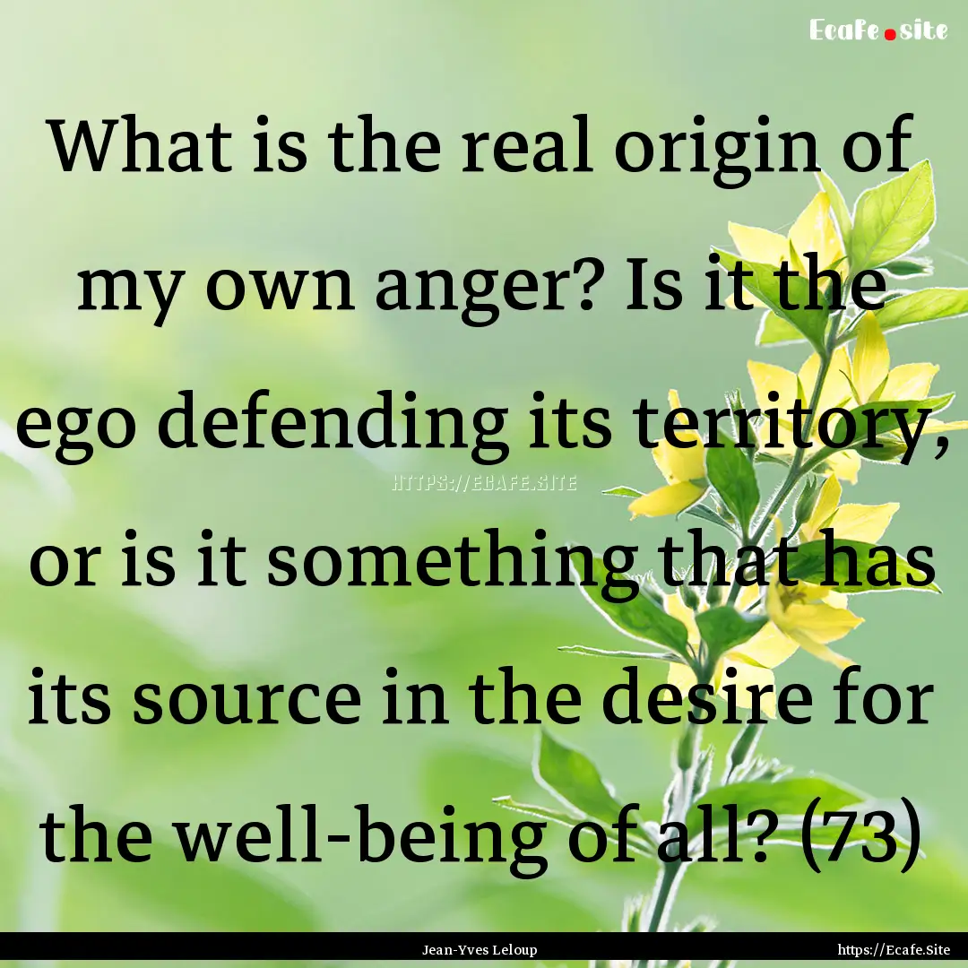 What is the real origin of my own anger?.... : Quote by Jean-Yves Leloup