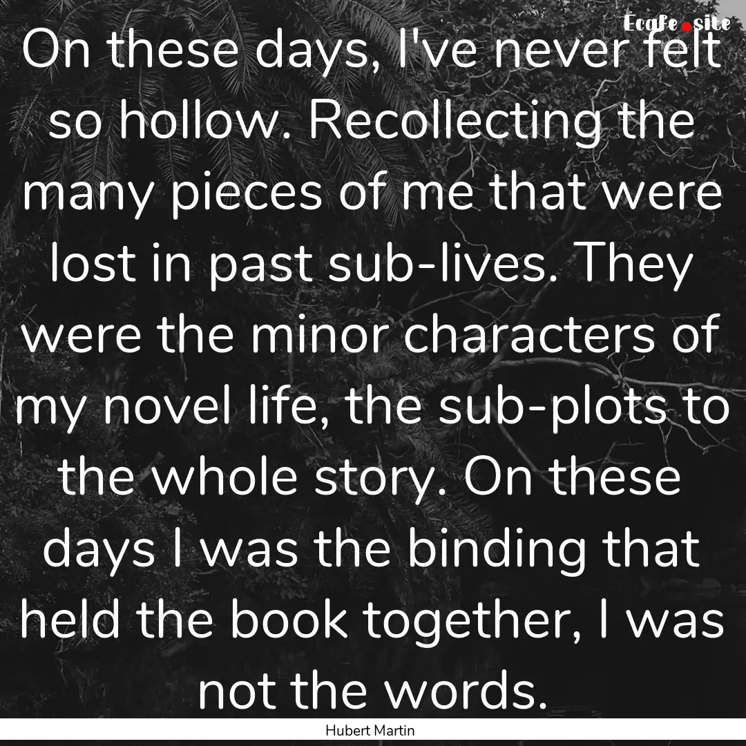 On these days, I've never felt so hollow..... : Quote by Hubert Martin