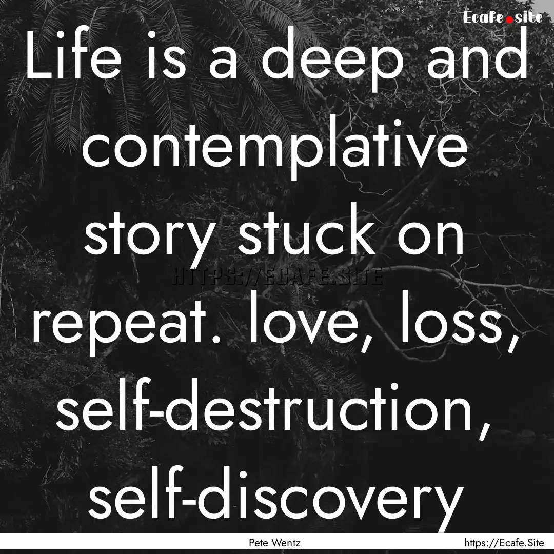 Life is a deep and contemplative story stuck.... : Quote by Pete Wentz