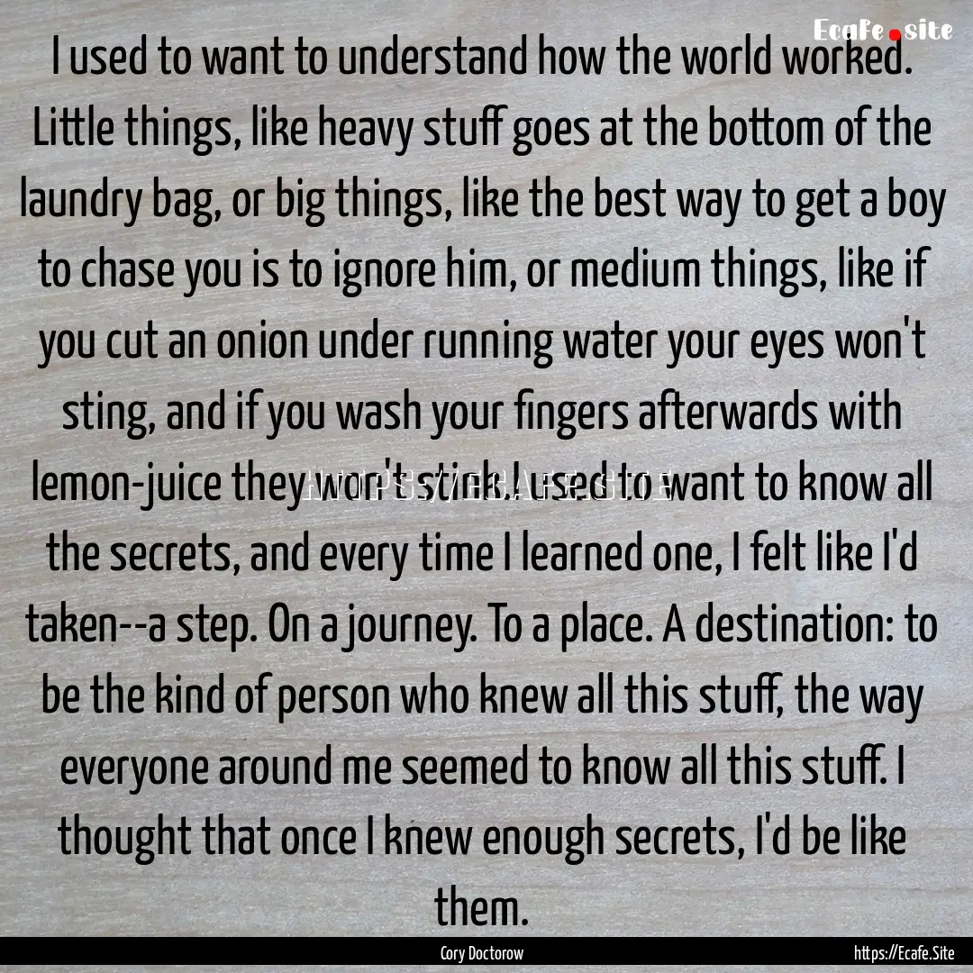 I used to want to understand how the world.... : Quote by Cory Doctorow