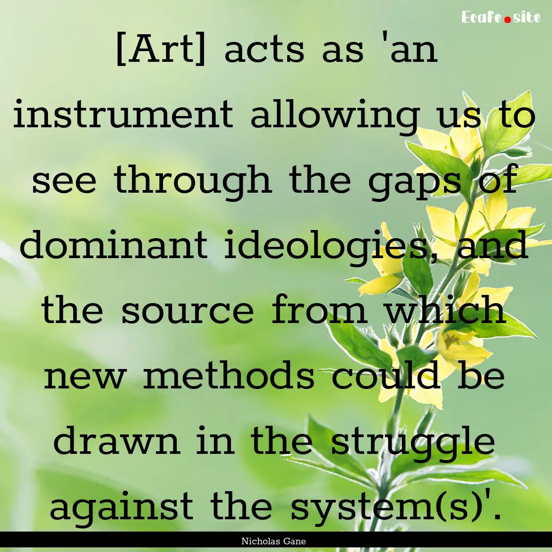 [Art] acts as 'an instrument allowing us.... : Quote by Nicholas Gane