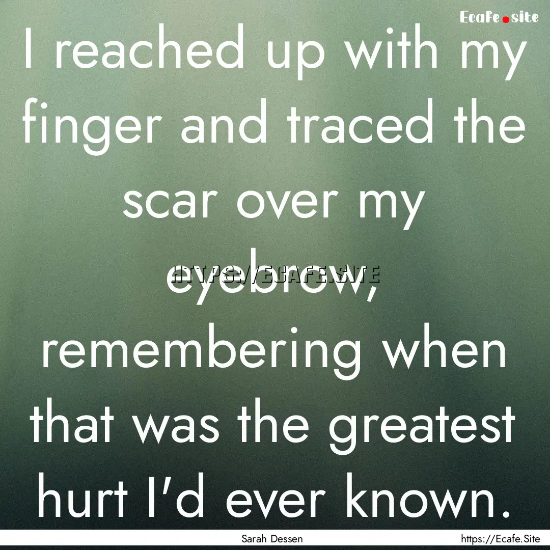 I reached up with my finger and traced the.... : Quote by Sarah Dessen