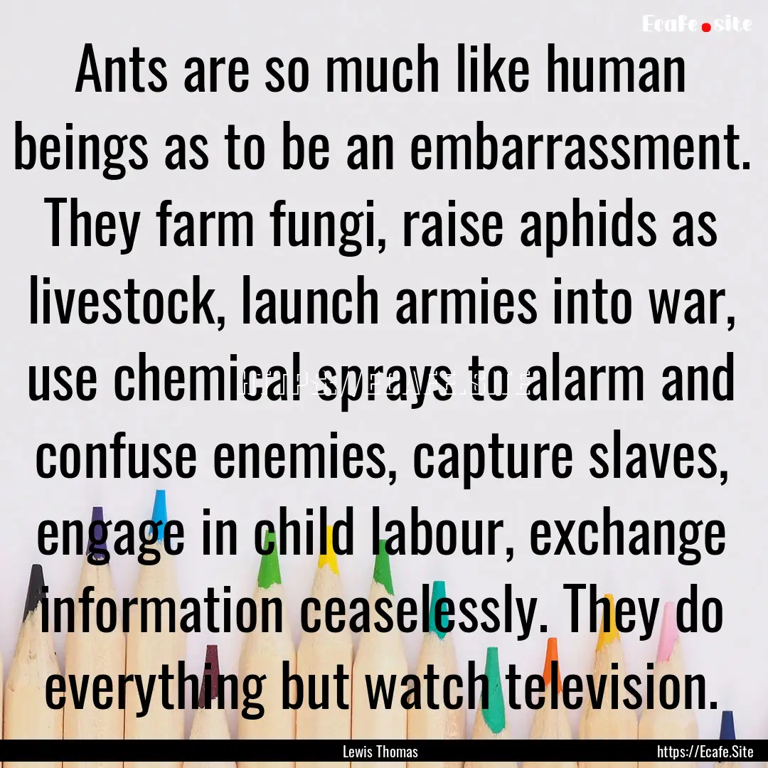 Ants are so much like human beings as to.... : Quote by Lewis Thomas