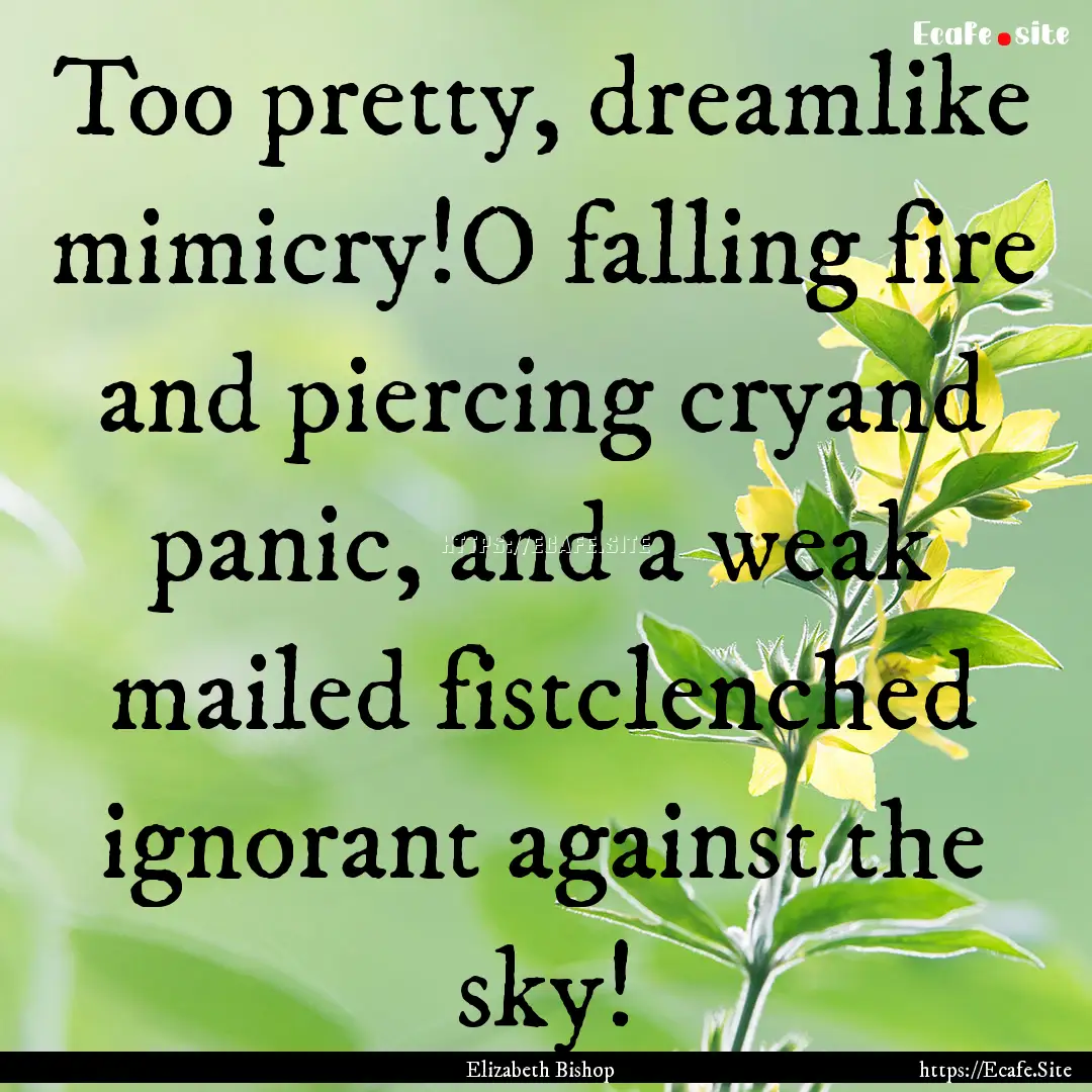 Too pretty, dreamlike mimicry!O falling fire.... : Quote by Elizabeth Bishop