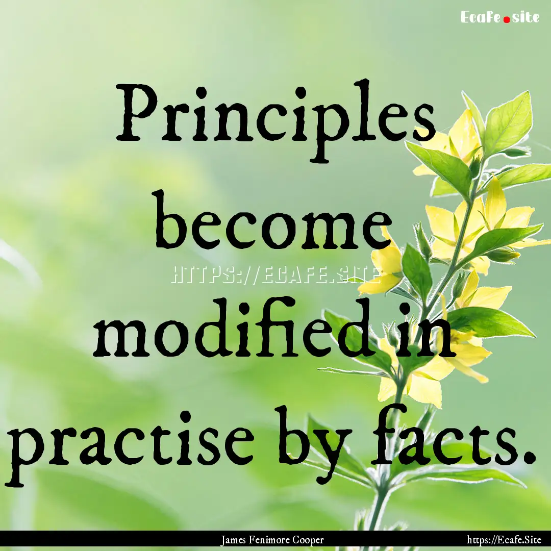 Principles become modified in practise by.... : Quote by James Fenimore Cooper