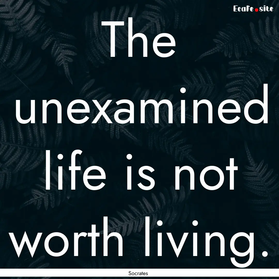 The unexamined life is not worth living. : Quote by Socrates