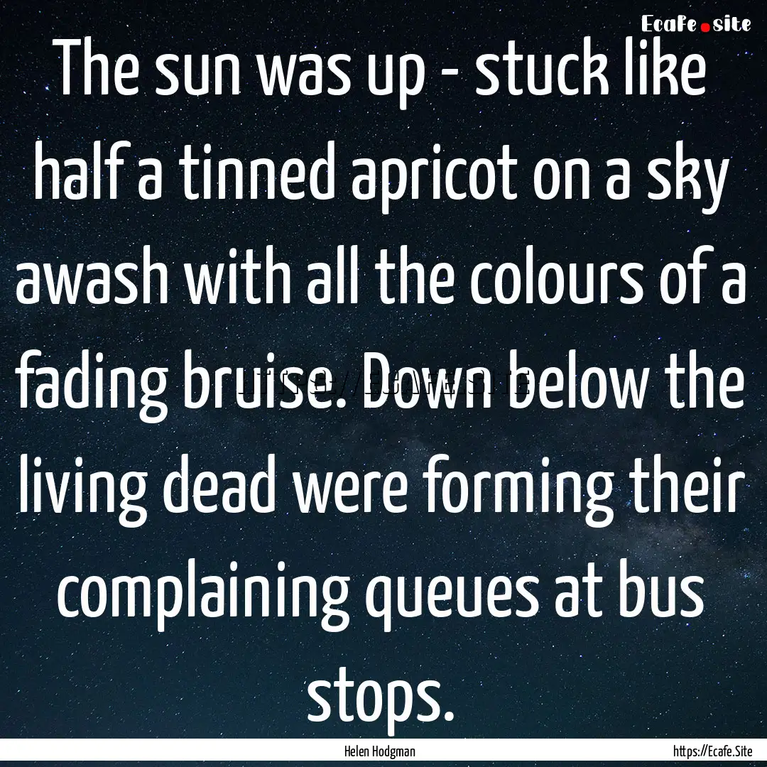 The sun was up - stuck like half a tinned.... : Quote by Helen Hodgman