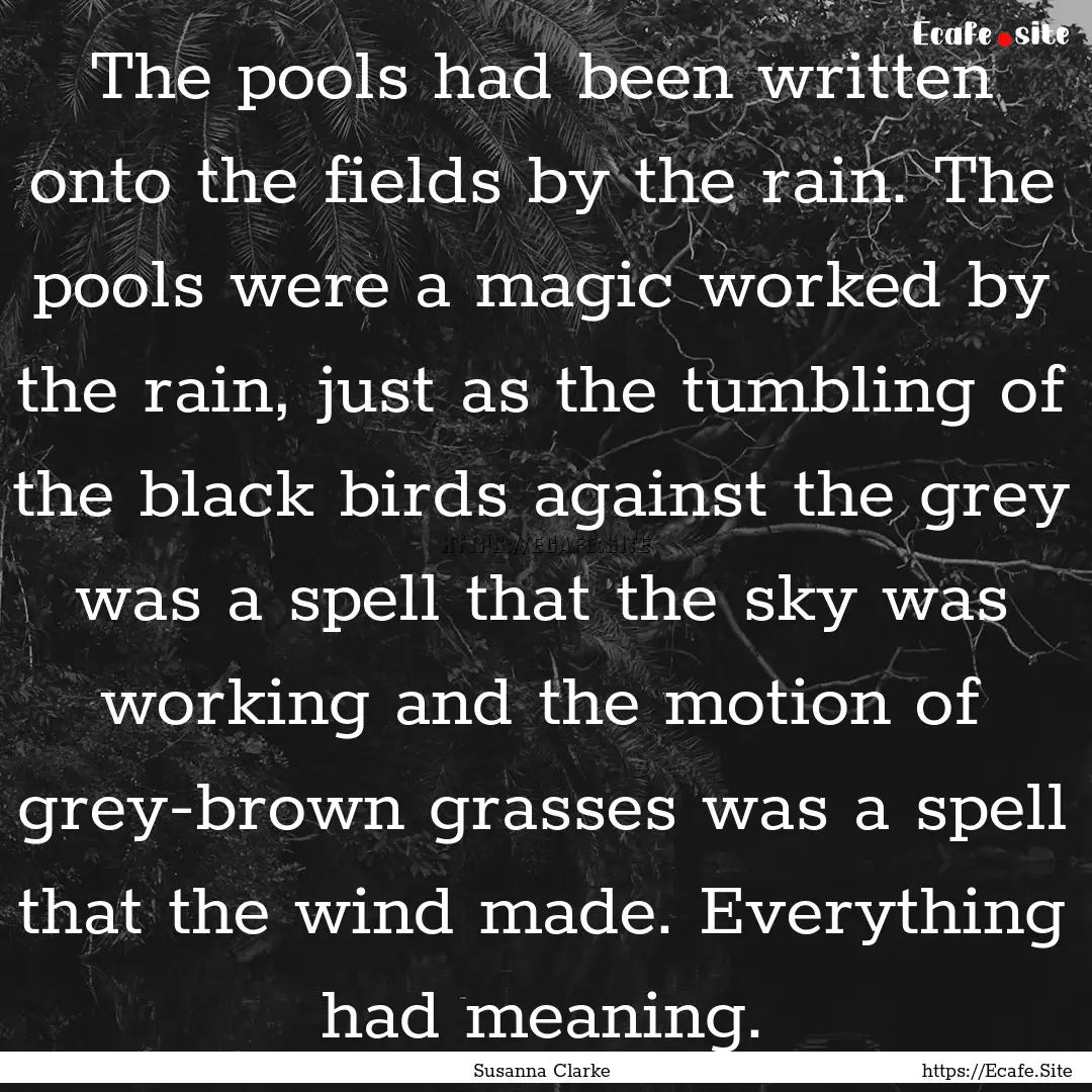 The pools had been written onto the fields.... : Quote by Susanna Clarke