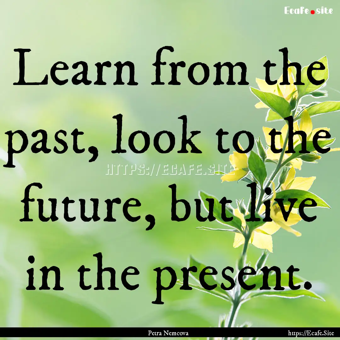 Learn from the past, look to the future,.... : Quote by Petra Nemcova