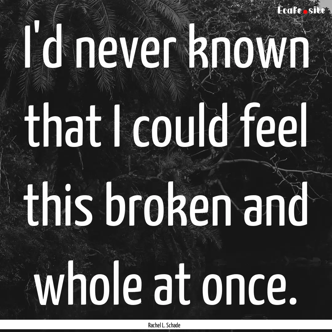 I'd never known that I could feel this broken.... : Quote by Rachel L. Schade