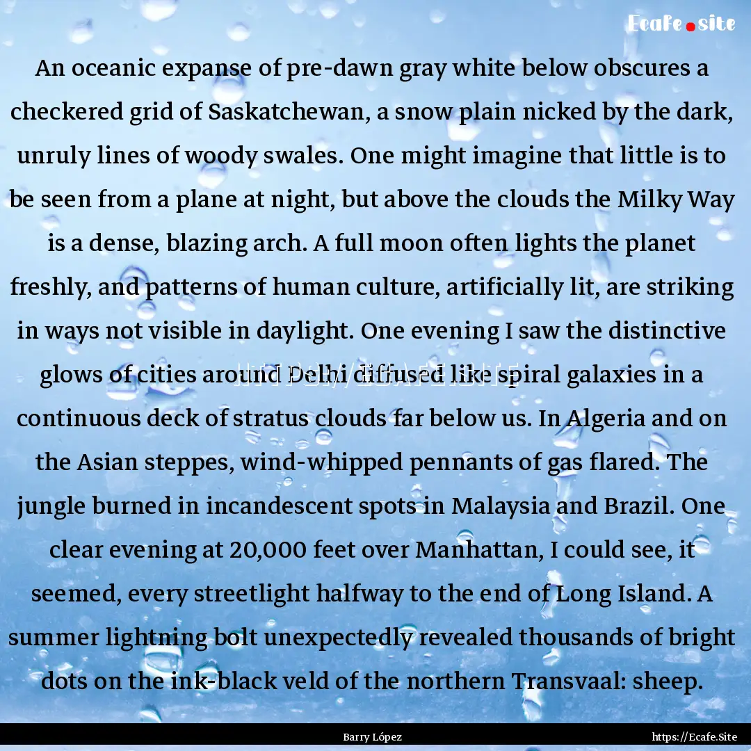 An oceanic expanse of pre-dawn gray white.... : Quote by Barry López