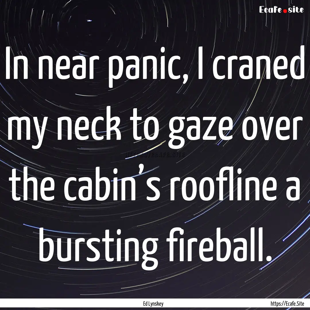 In near panic, I craned my neck to gaze over.... : Quote by Ed Lynskey